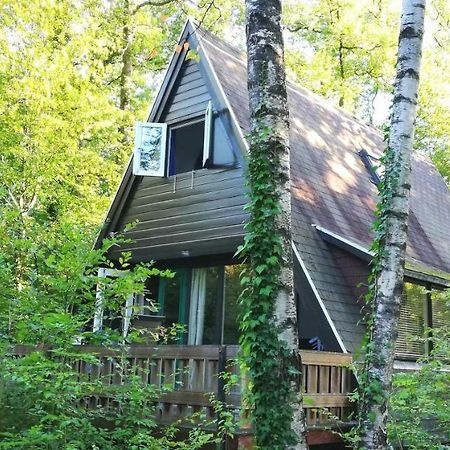 Sunclass Durbuy Huisje 132 Екстериор снимка